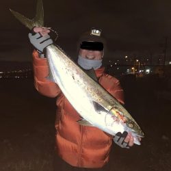 オカッパリにてブリ83cm